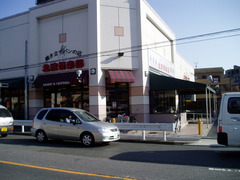P1010056.JPG